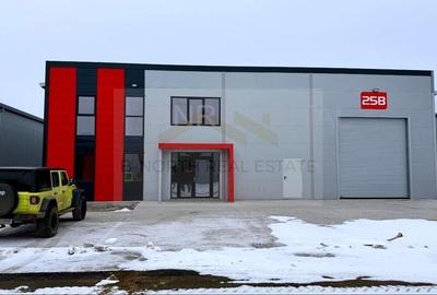 Închiriere hale noi 2025 – 1.000 mp/hala, acces TIR, Centura București – Chiajna - 3