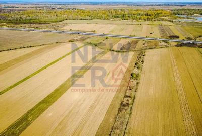 Terenuri industriale cu deschidere la A1, km 64 Jugureni, Dambovi?a - 1