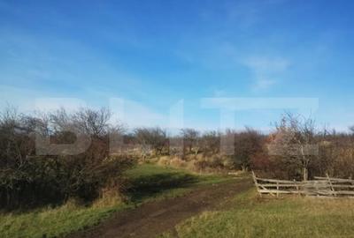 Teren de 2000 mp, în Central - 3