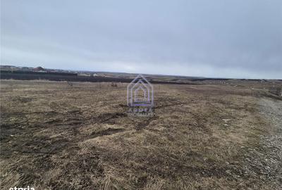 Teren de 800 mp, în Moara - 1