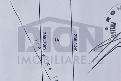 TEREN INTRAVILAN 10000 MP POPESTI LEORDENI HILS SPLAI - 5