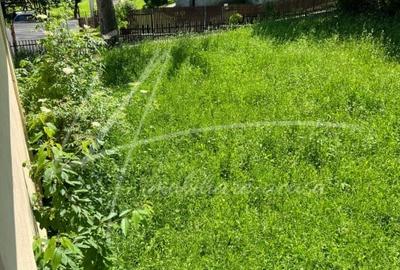 Teren intravilan cu casa- 1740 mp. in Provita de Sus-PH - 10