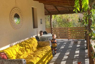 Casă cu 7 camere în Drajna - 4