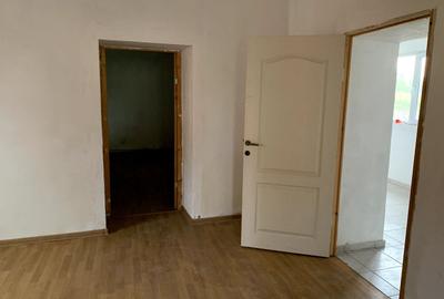 Casă individuală cu 4 camere cu Teren 2518 Mp în Otelec - 10