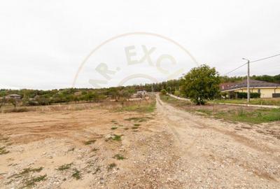 Teren de 1498 mp, în Mărăcineni - 3