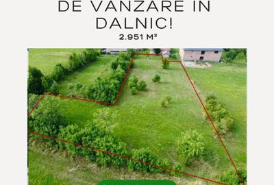 Teren intravilan de vânzare în Dalnic! - 1
