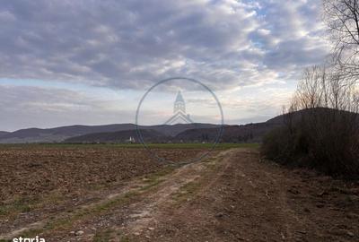 Spațiu comercial, în Șieu - 1