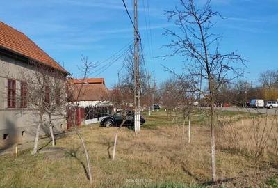 Casa Vinga-Arad de vanzare - 5