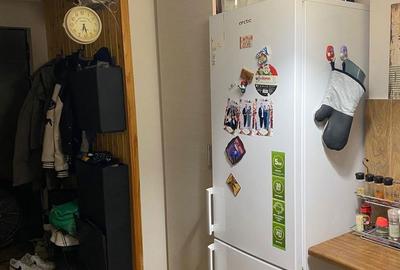 Apartament cu 2 camere semidecomandat în Teiul Doamnei - 8