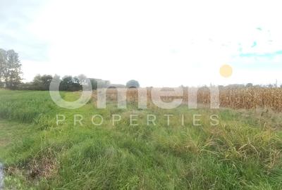 Teren Construcții intravilan de 1070 mp, în Cătălina - 3