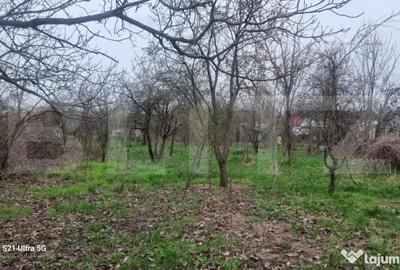 Teren în Scorțeni - 1