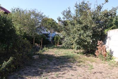 Casa in zona Cosbuc (str Dorobanti) - 10