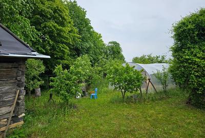 Teren de 5000 mp, în Cărbunari - 6