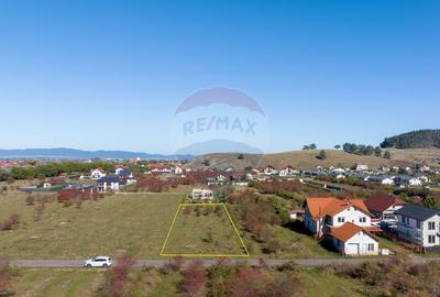 Teren Sanpetru -livada, Strada Nucului, 1296mp, apa, gaz, curent - 6