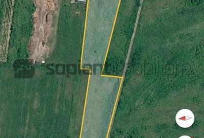 Teren de 9600 mp, în Central - 2