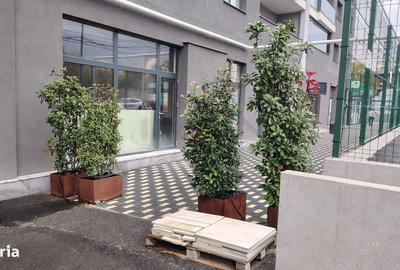 Spațiu comercial, de 55 mp, în Vitan - 3