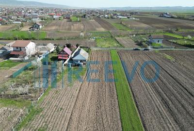 Teren de vanzare, Com. Nicolae Balcescu, Jud. Bacau - 7