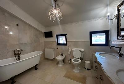 Casă cu 6 camere cu Canalizare în Primăverii - 24
