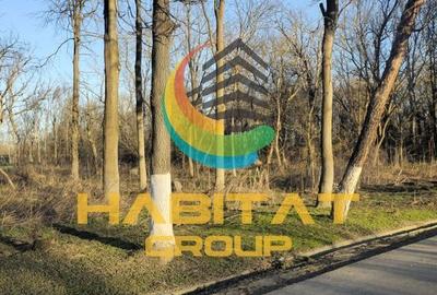 Spațiu comercial, în Adunații-Copăceni - 2