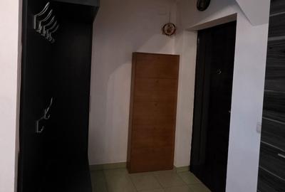 Apartament cu 2 camere semidecomandat în Paltin - 8
