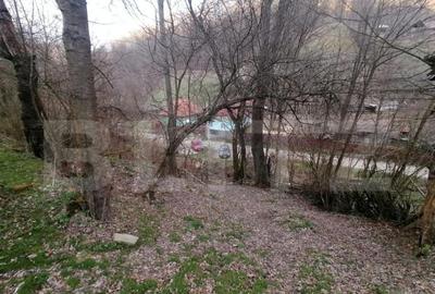 Teren de 2900 mp, în Central