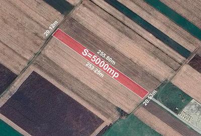 Teren industrial de vanzare in Cristian zona in plina dezvoltare. - 2