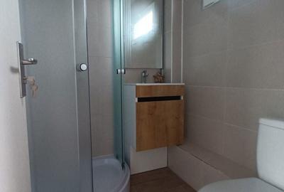 Casă cu 2 camere cu Teren 1000 Mp în Săldăbagiu de Munte - 2