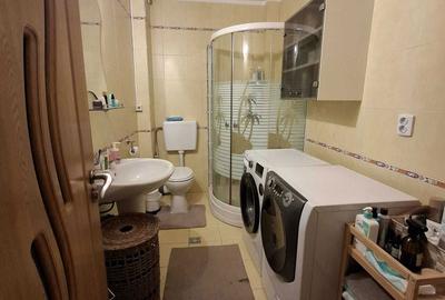 Apartament cu 2 camere nedecomandat în Tilișca - 6