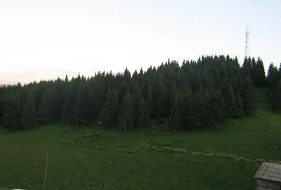 Teren intravilan de 10238 mp, în Fundățica - 4