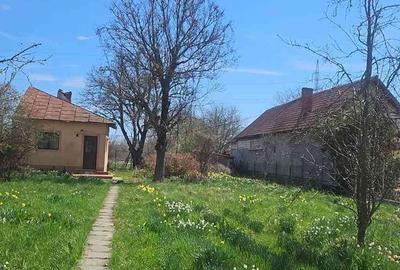 Spațiu comercial, în Ștefănești - 2