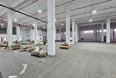 Hala depozitare - 2500 mp - inaltime 7 m - 3