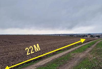 Teren de 10000 mp, în Vest - 18