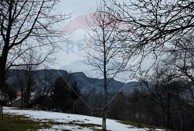 Teren Zarnesti /Bran/Predelut6 Strada Pe tarina - 4