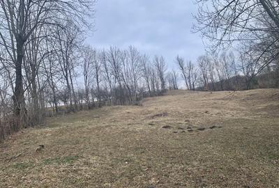 Teren Construcții intravilan de 3169 mp, în Talea - 4