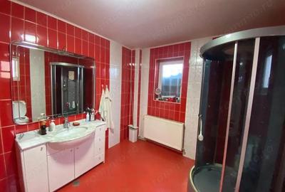 Casă cu Canalizare în Lugoj - 4