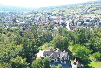 Pensiune de vanzare in Sovata Conacul Cosalina - 10