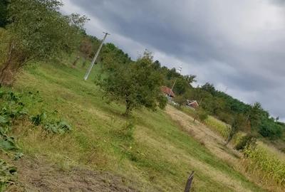 Casă cu 2 camere în Decebal - 2