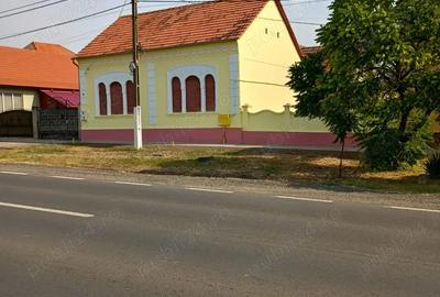 Casă cu 6 camere în Biled - 6