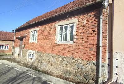 Casa de vanzare in comuna Lapusnicel jude?ul Cara?-Severin la o distan?a de aprox.25km Baile Herc. - 3