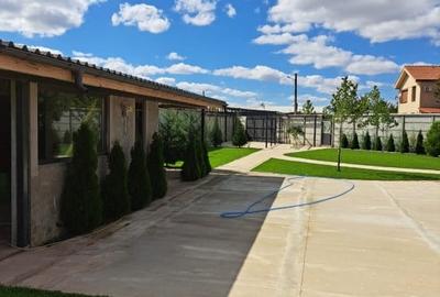 CASA CUMPANA LA ALB | TEREN 814 | BECI + PUT DE APA | - 2