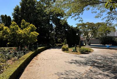 Casa P+M, 2200 MP teren, 450 MP utili, Bariera Valcii - 10