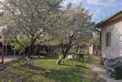 Casă cu 2 camere în Central - 3