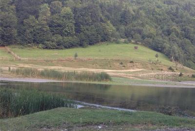 Teren de 6000 mp, în Central - 2