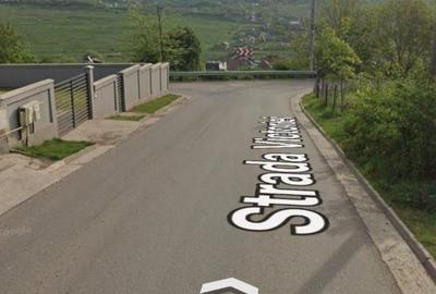 Spațiu comercial, în Valea Lupului - 3