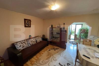 Casa solida pe Bld. Ecaterina Teodoroiu - Targu Jiu - 4