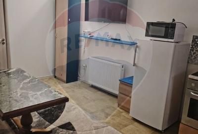 Apartament cu 1 camere de închiriat în zona Ultracentral - 3