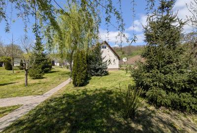 Casă individuală cu 3 camere cu Teren 6500 Mp în Moșna - 8