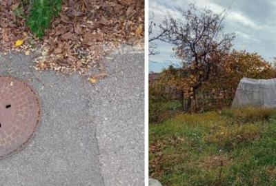 Teren de 160 mp, în Mărăcineni - 3