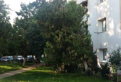 Herastrau, Piata Presei, B-dul Poligrafiei nr. 20 - 10