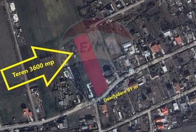 Teren de vanzare Dimieni Strada Straja 3600mp Deschidere 31 m